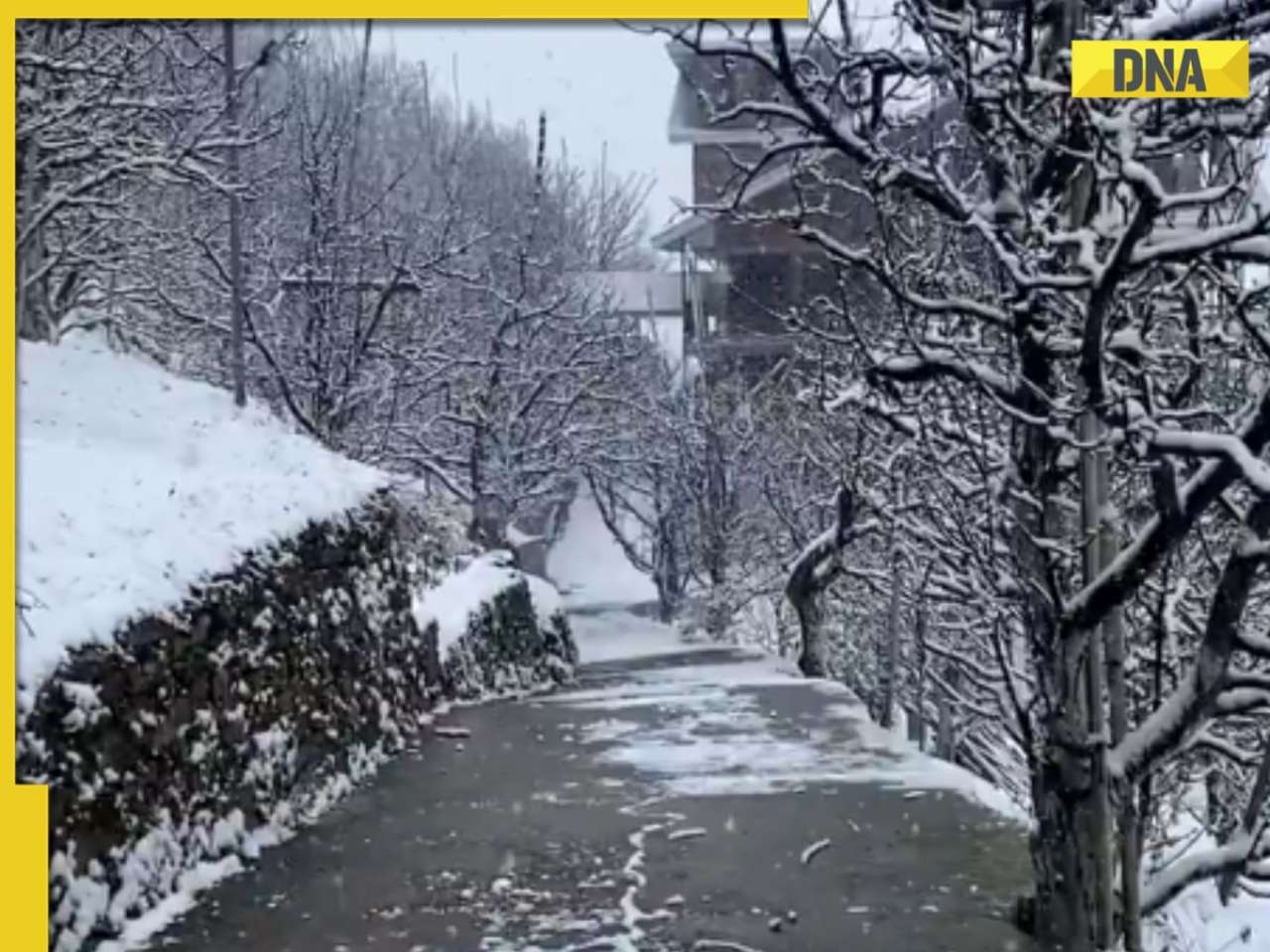 Himachal Pradesh's snow-covered serenity awes social amid Manali's traffic woes, watch viral videos