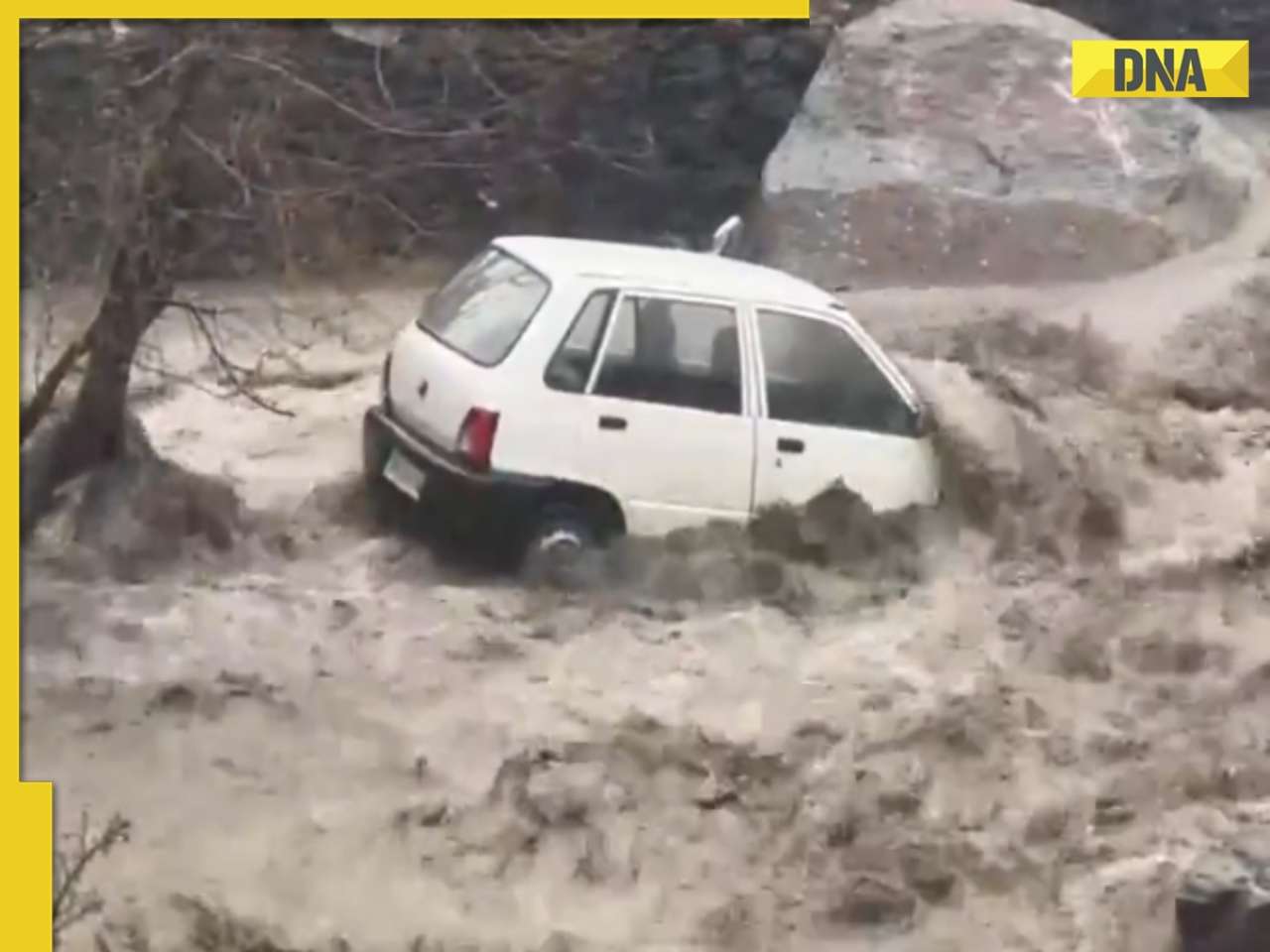 Himachal Pradesh: Heavy rains, flash floods wreak havoc in Kullu, several vehicles washed away, WATCH viral video