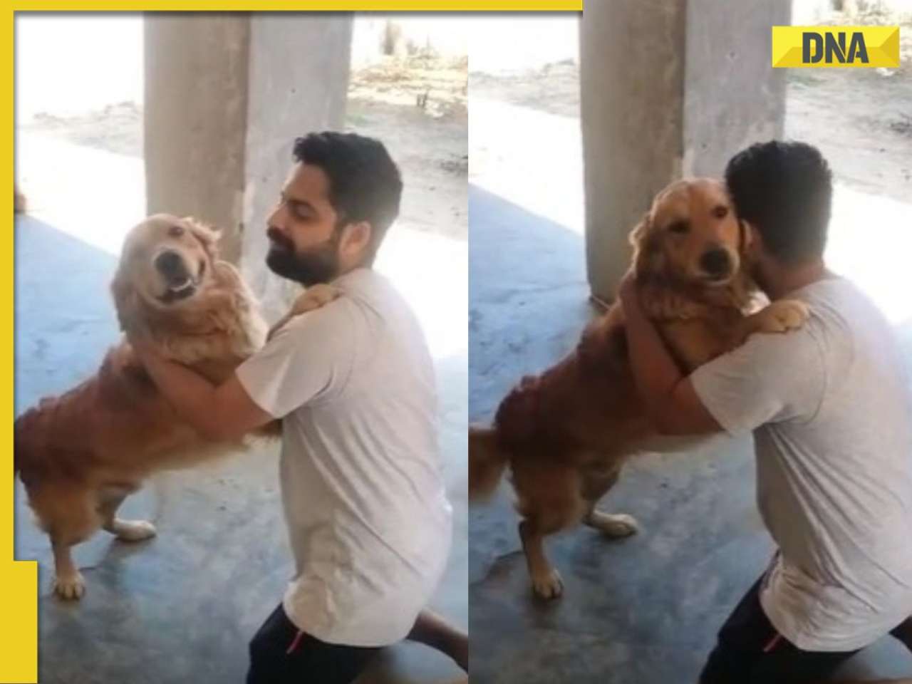 Man finds lost dog, their reunion video will melt your heart, watch