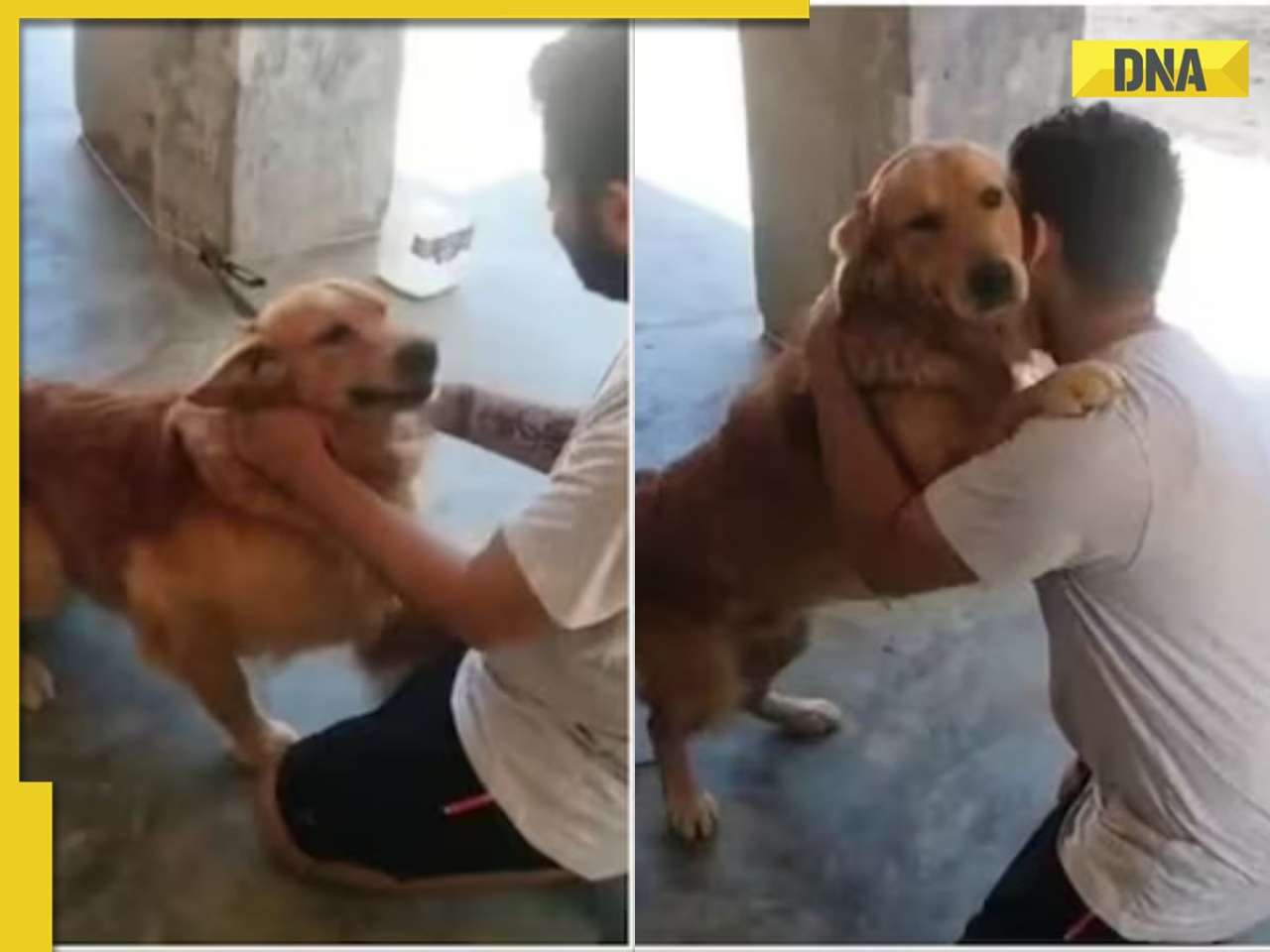 Viral video: Delhi man’s heartwarming reunion with lost dog wins internet, WATCH