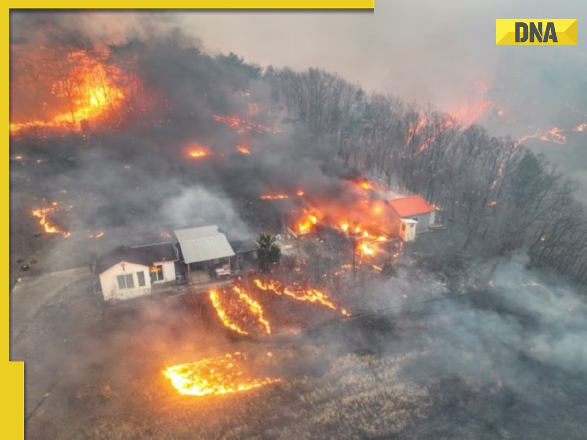 South Korea Forest Fire: 18 killed, 27000 to evacuate as wildfires ravage southern regions