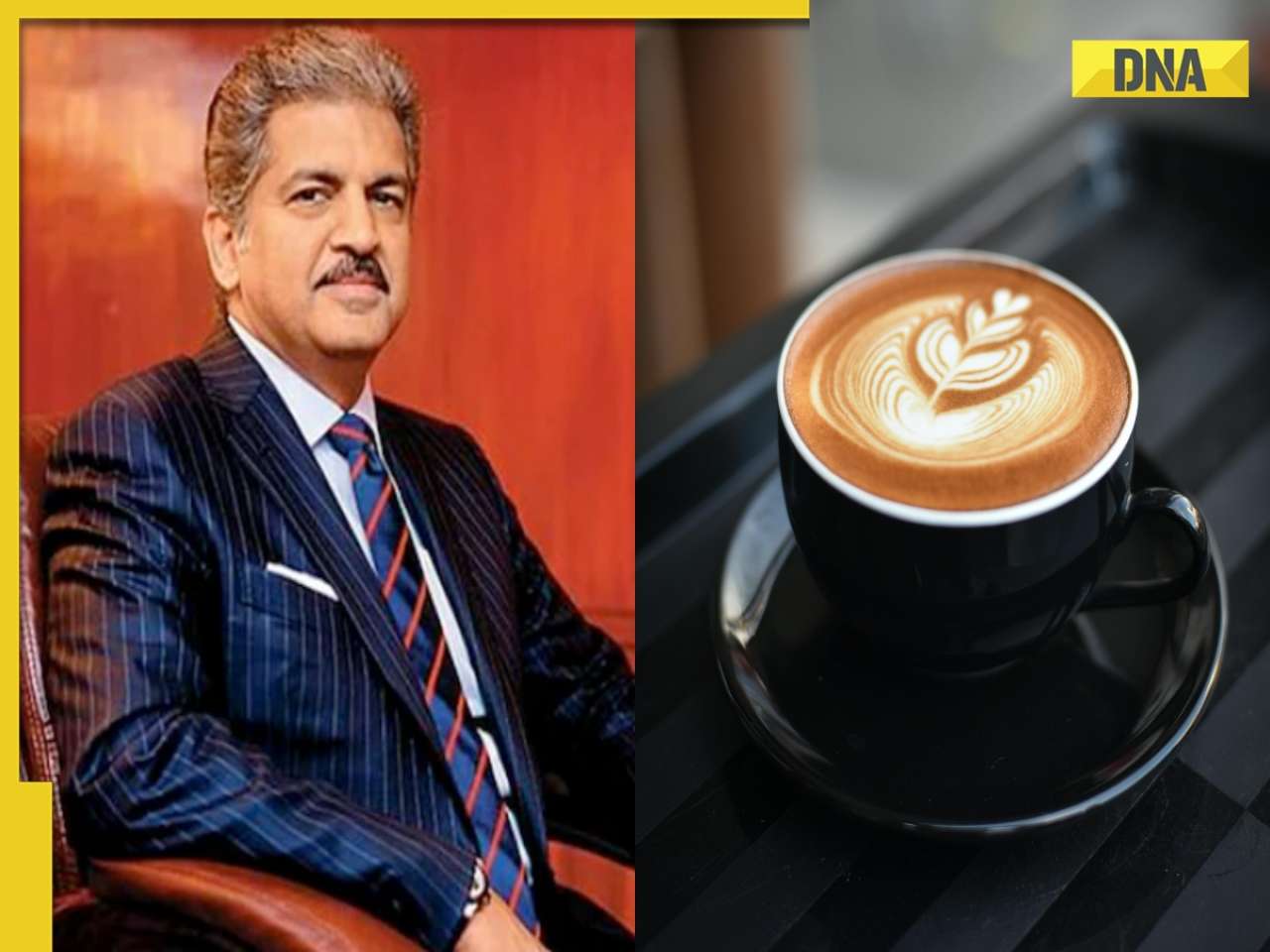 Anand Mahindra shares story of this hill station with India's first coffee bushes, it is located in...