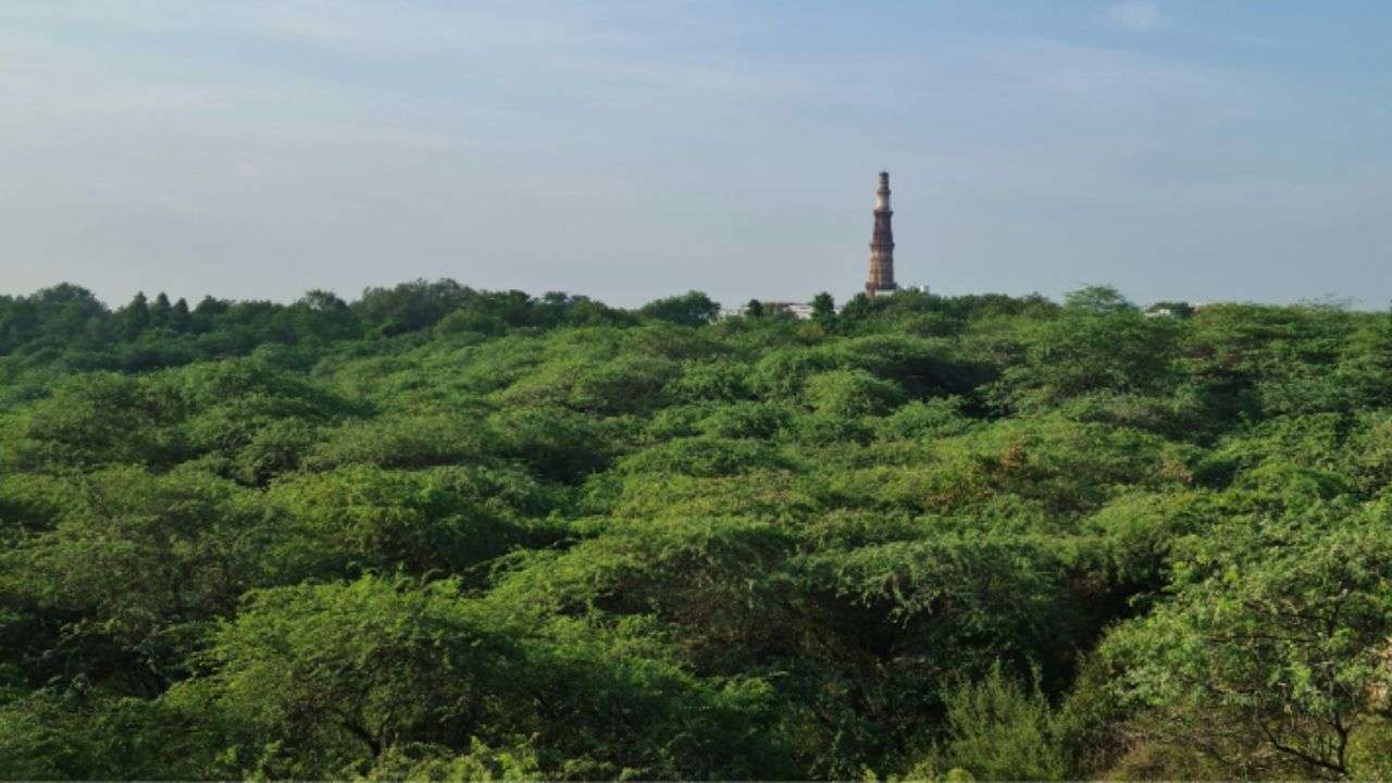 Sanjay Van