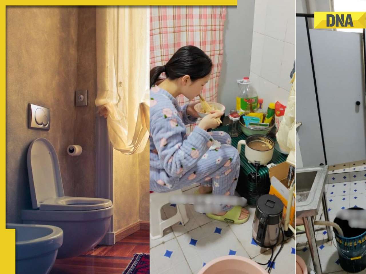 Shocking! Chinese woman rents office toilet for Rs..., know reason behind her strange lifestyle choice